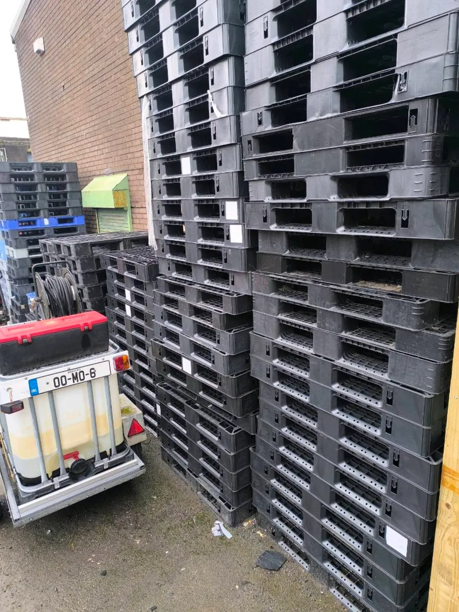 50 new plastic pallets - Image 2