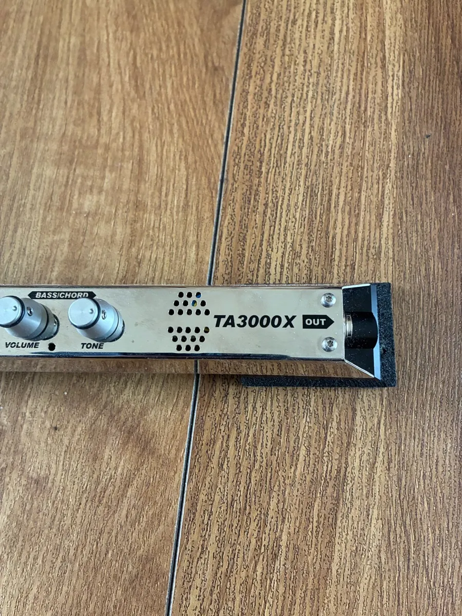 Accordion Mike - Image 4