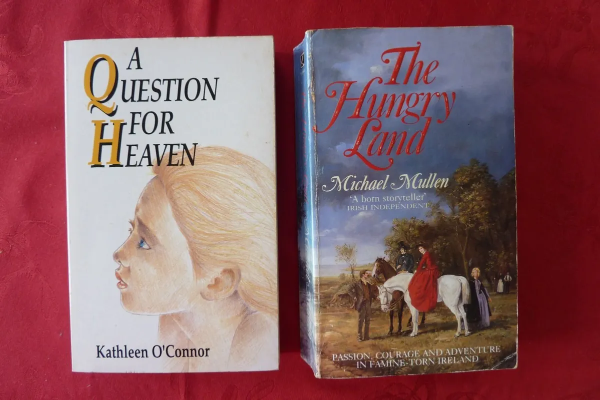 Books by Irish writers - Image 2
