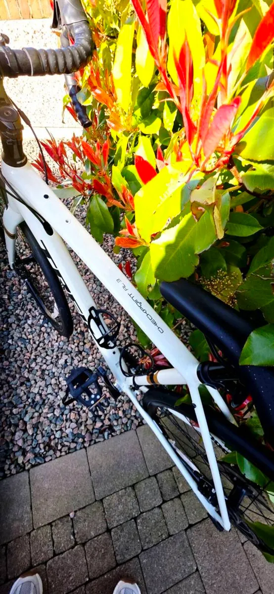 Trek Checkpoint AL3 - Image 2