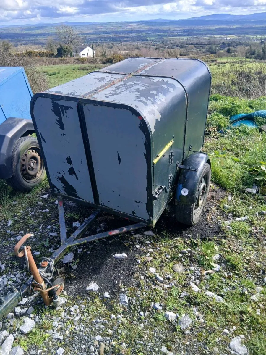 Dog trailers - Image 4