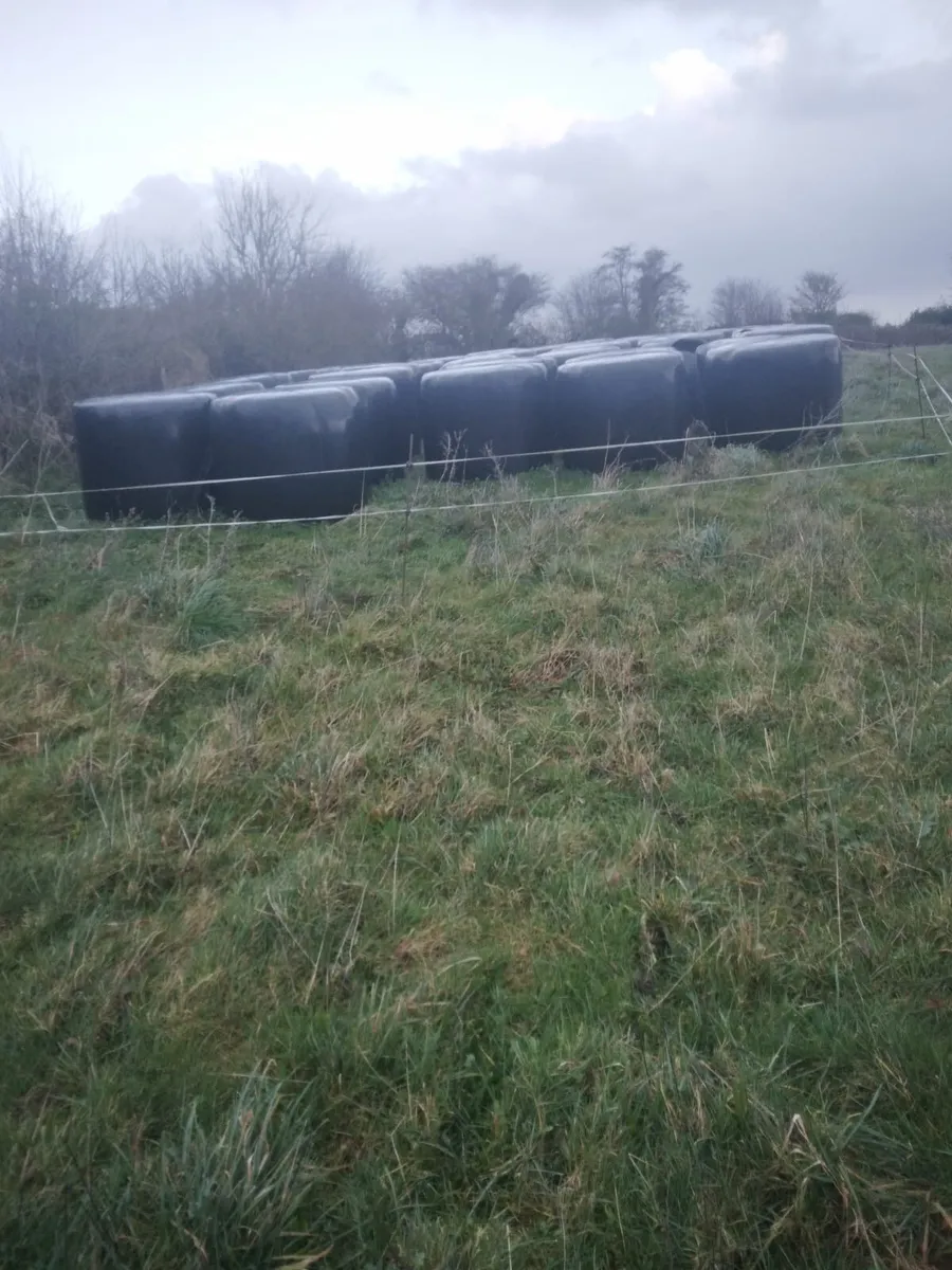 Silage bales - Image 2