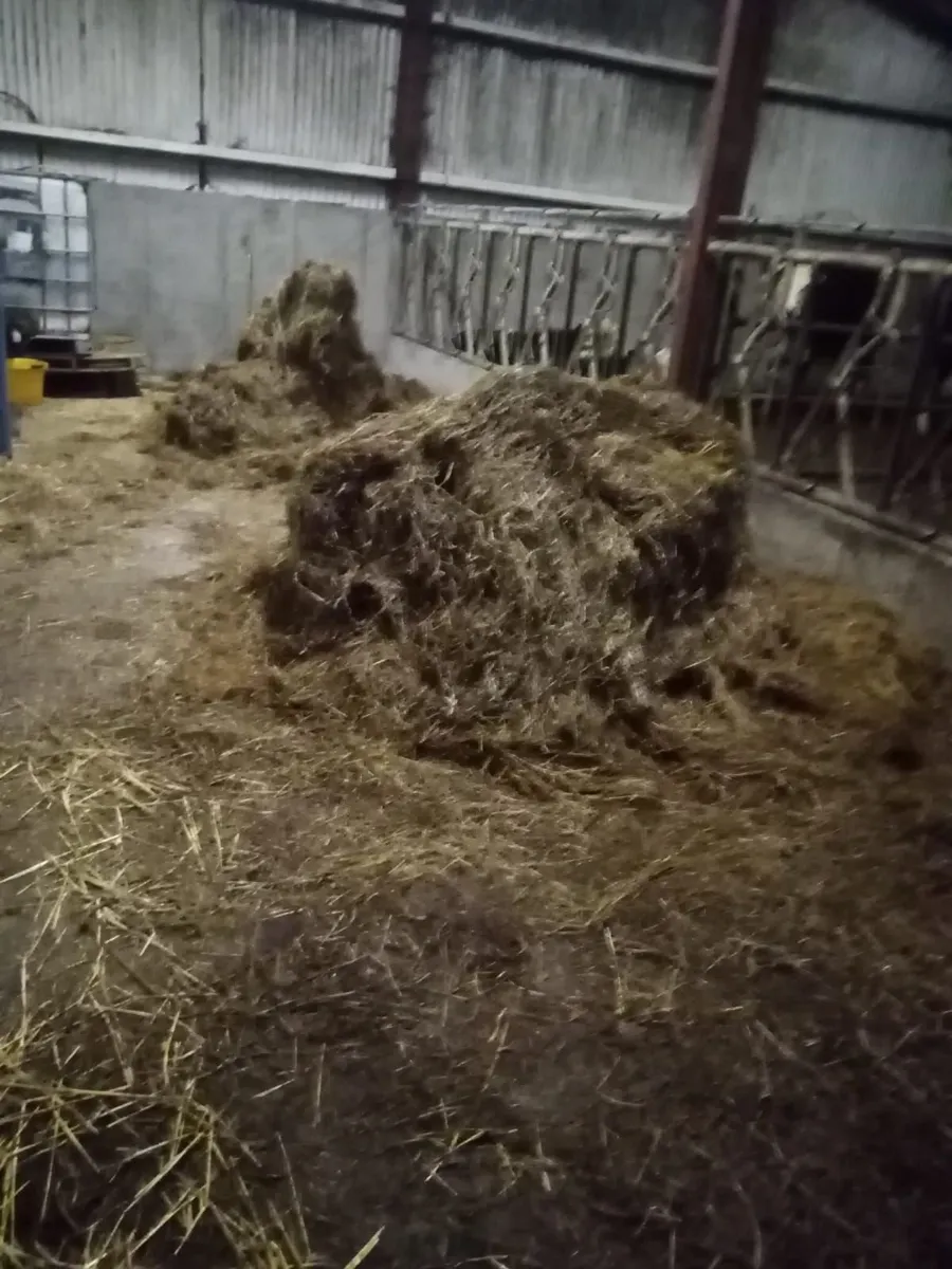 Silage bales for sale - Image 2