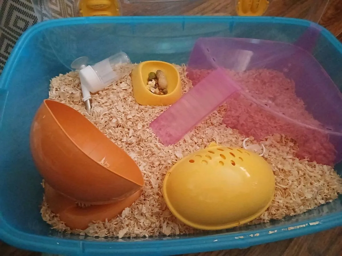 Hamster Home - Image 3