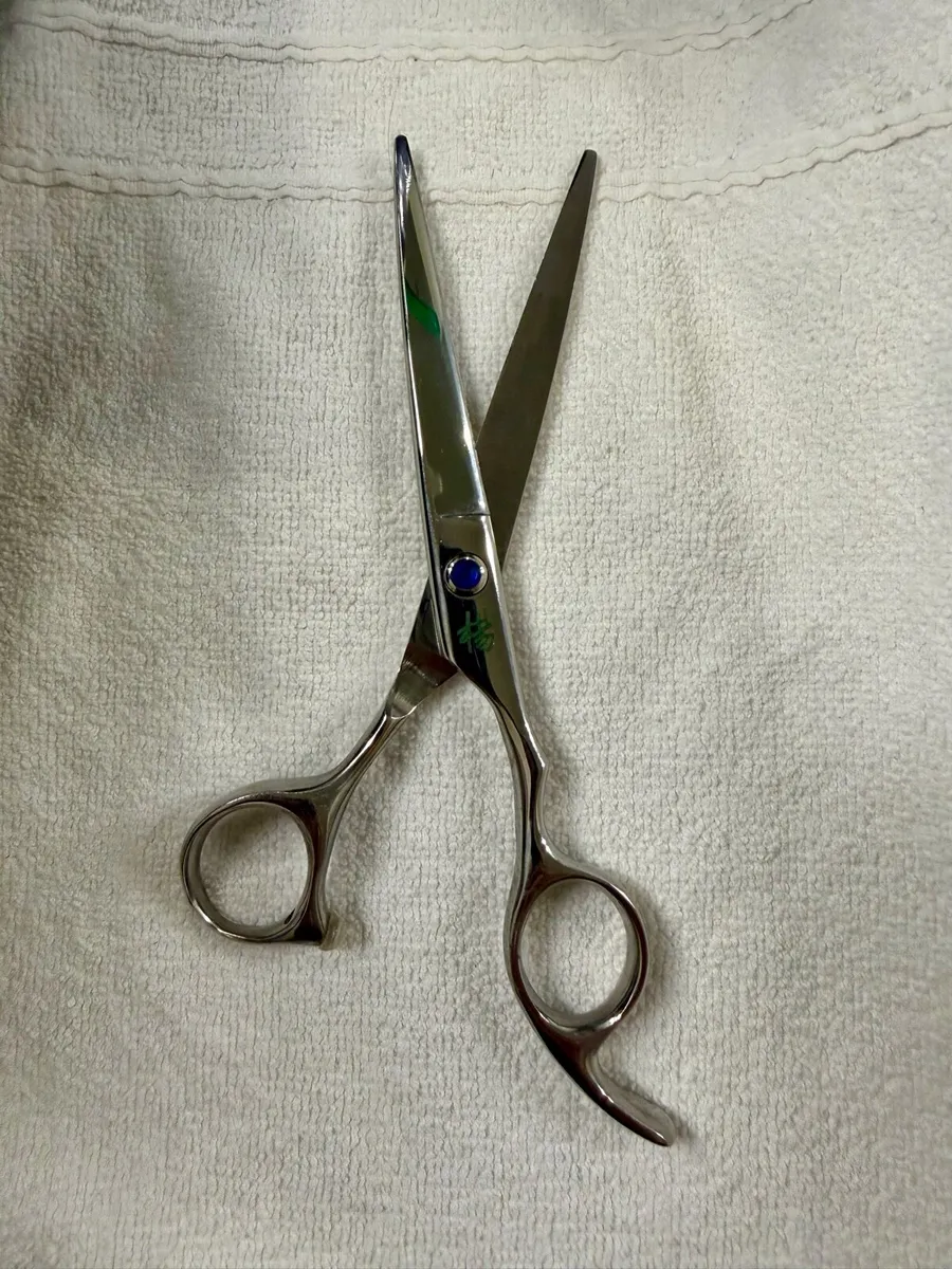 Professional Scissors - Image 4