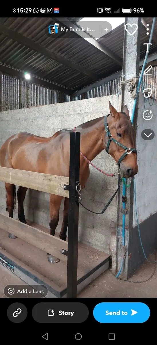 MRT Therapy floor - Image 2