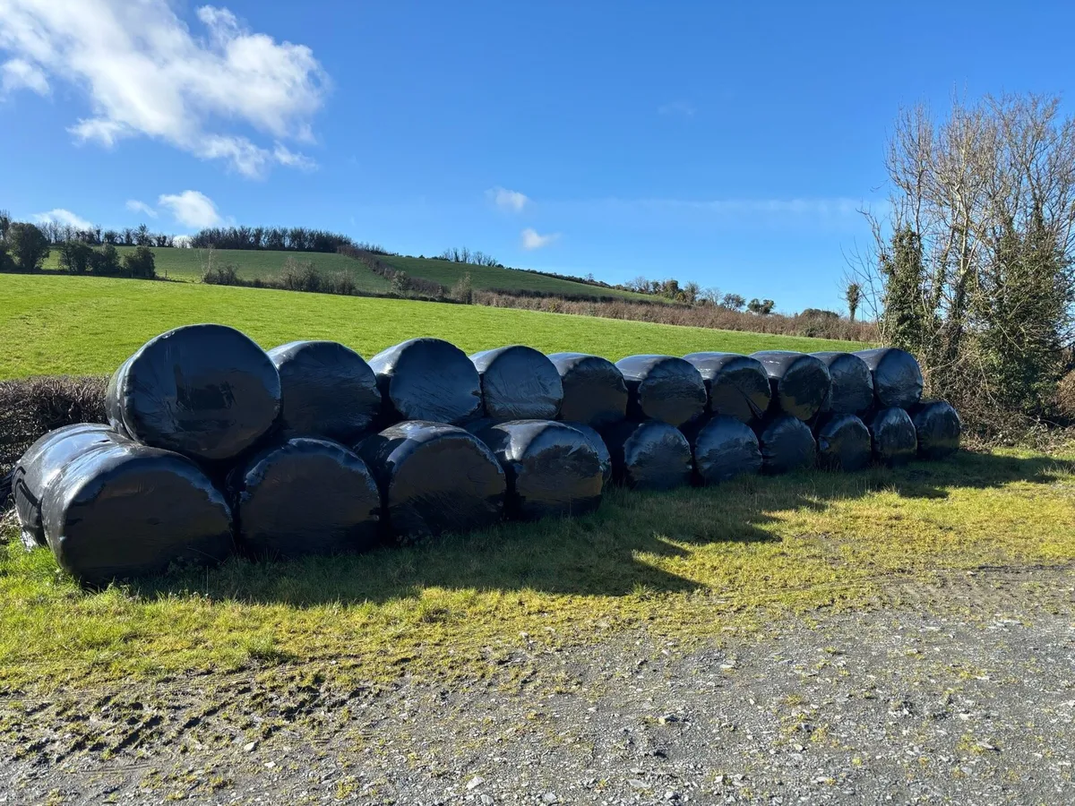 Haylage & Silage Bales.