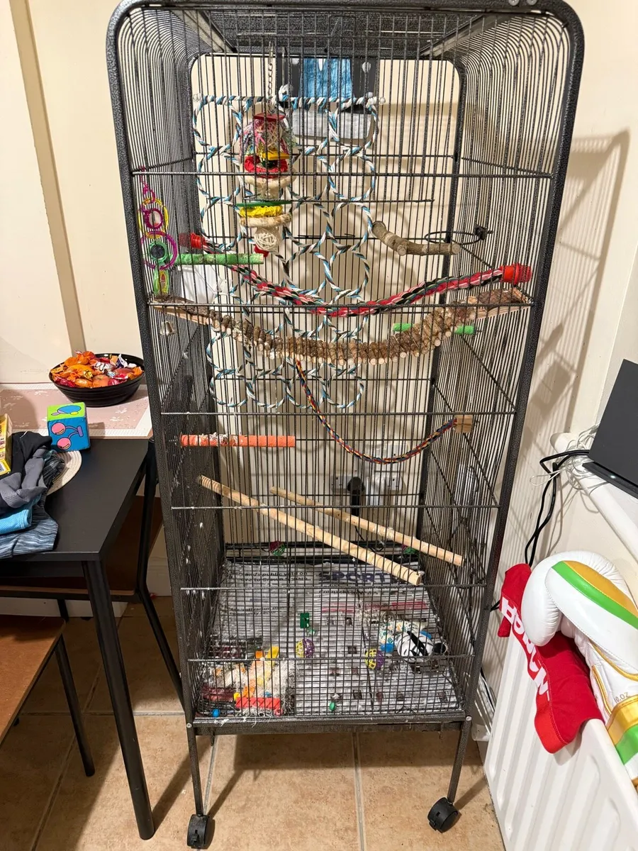 Bird cage - Image 1