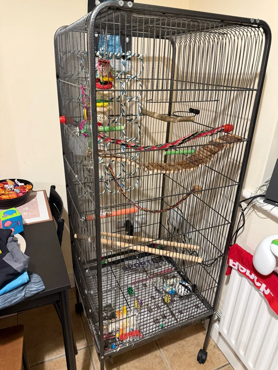 Bird cage - Image 2