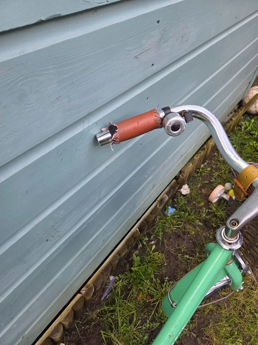 4 childrens Bikes & Merc Go Kart all 4 €100 - Image 3