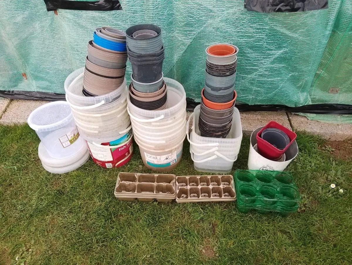 Free Plant Pots and Buckets