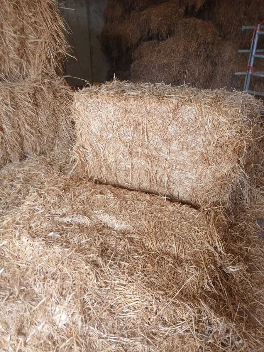 Straw bales - Image 1
