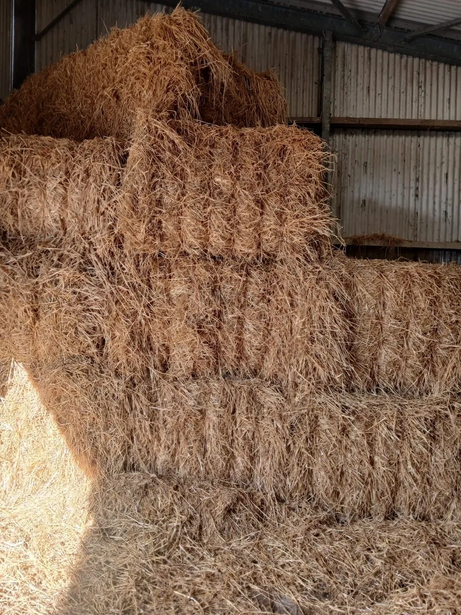 Straw bales - Image 2