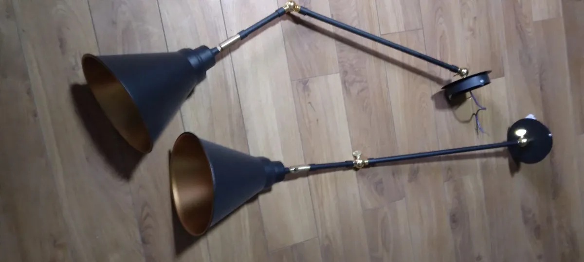 Pair of unuasal lights - Image 2