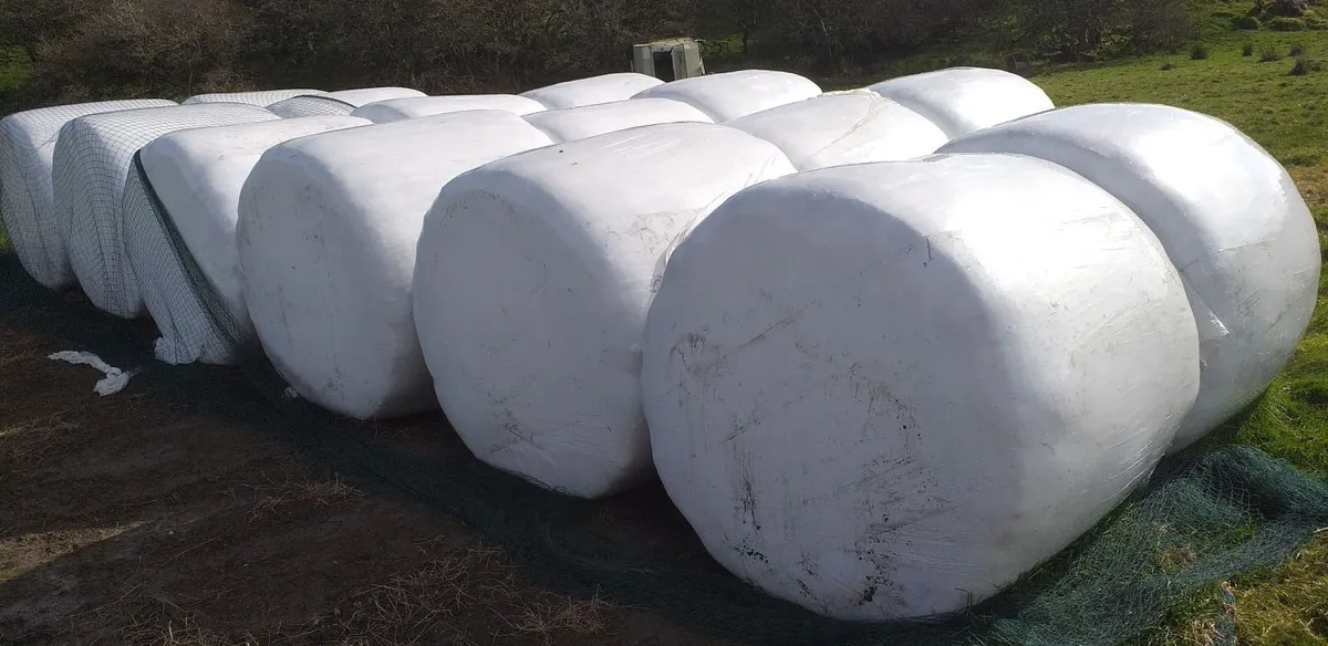 Silage Bales - Image 1