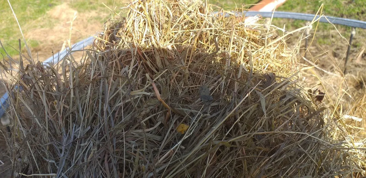 Silage Bales - Image 2