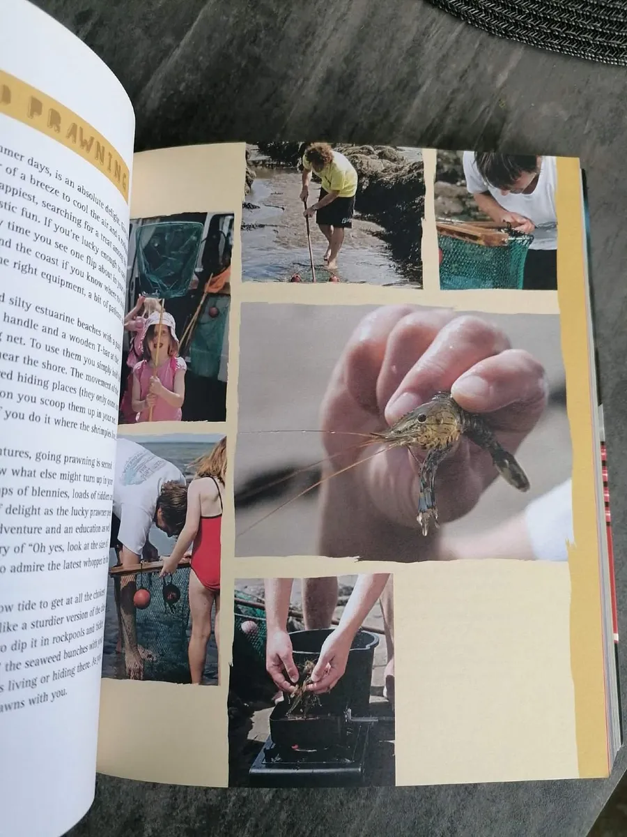 The Camper Van Cookbook Life on 4 wheels - Image 4