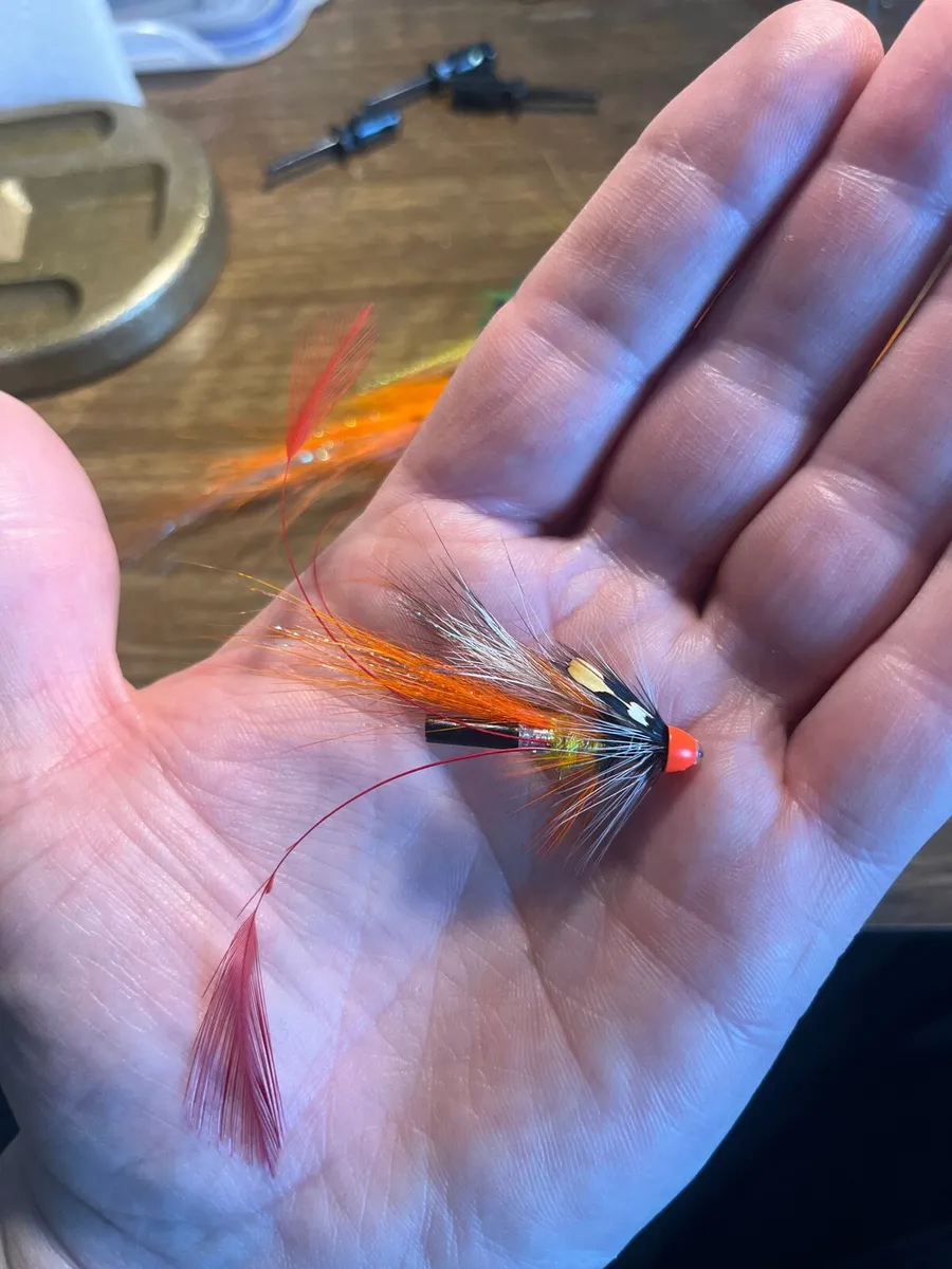 Salmon flies - Image 2