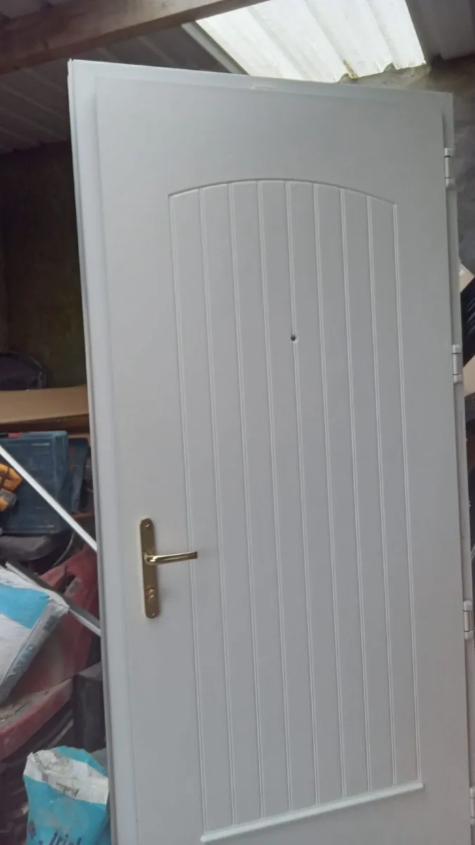 Door and fireplace - Image 1