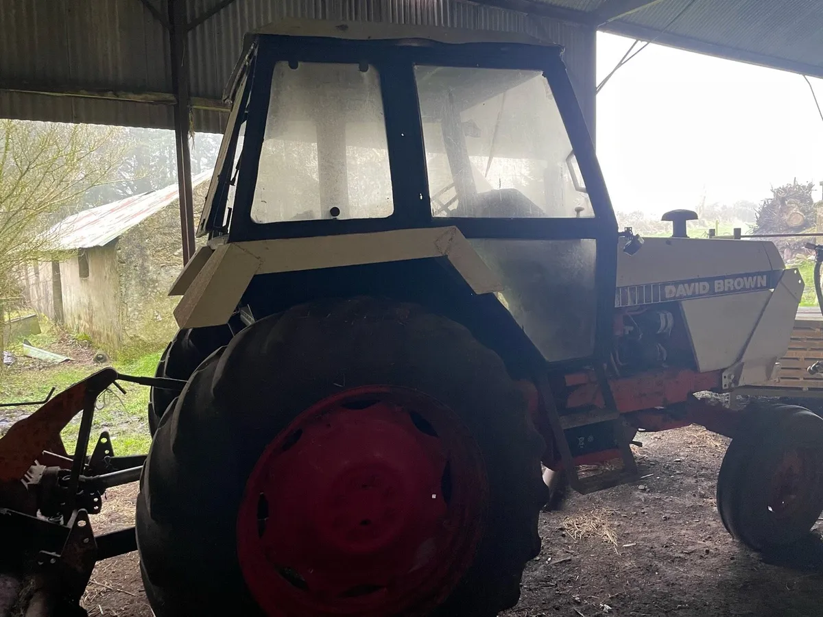 David brown - Image 4