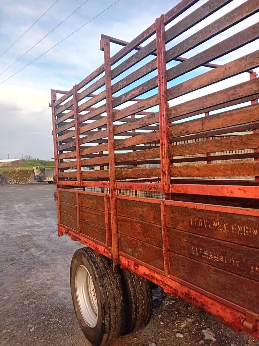 Tipping trailer 10 x 6 - Image 2