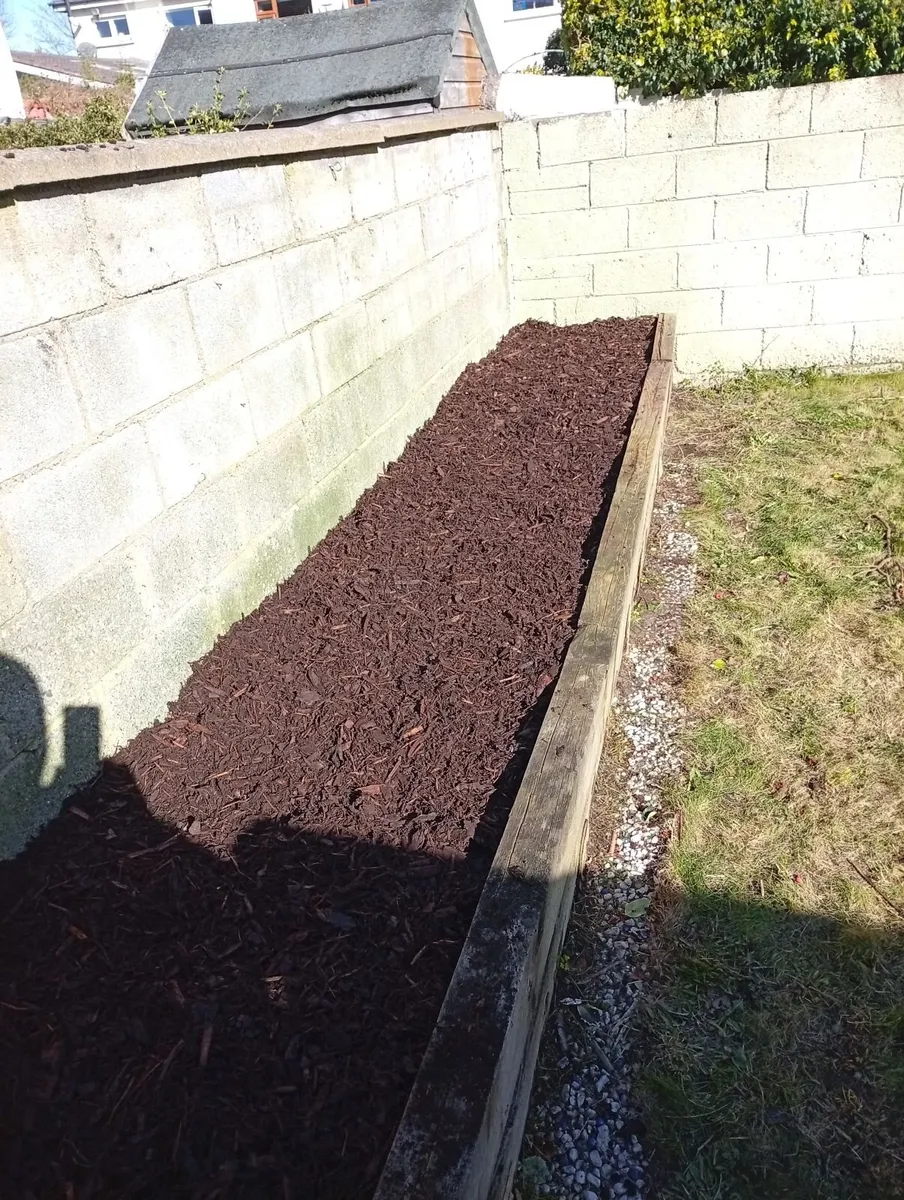 Garden clearance - Image 4