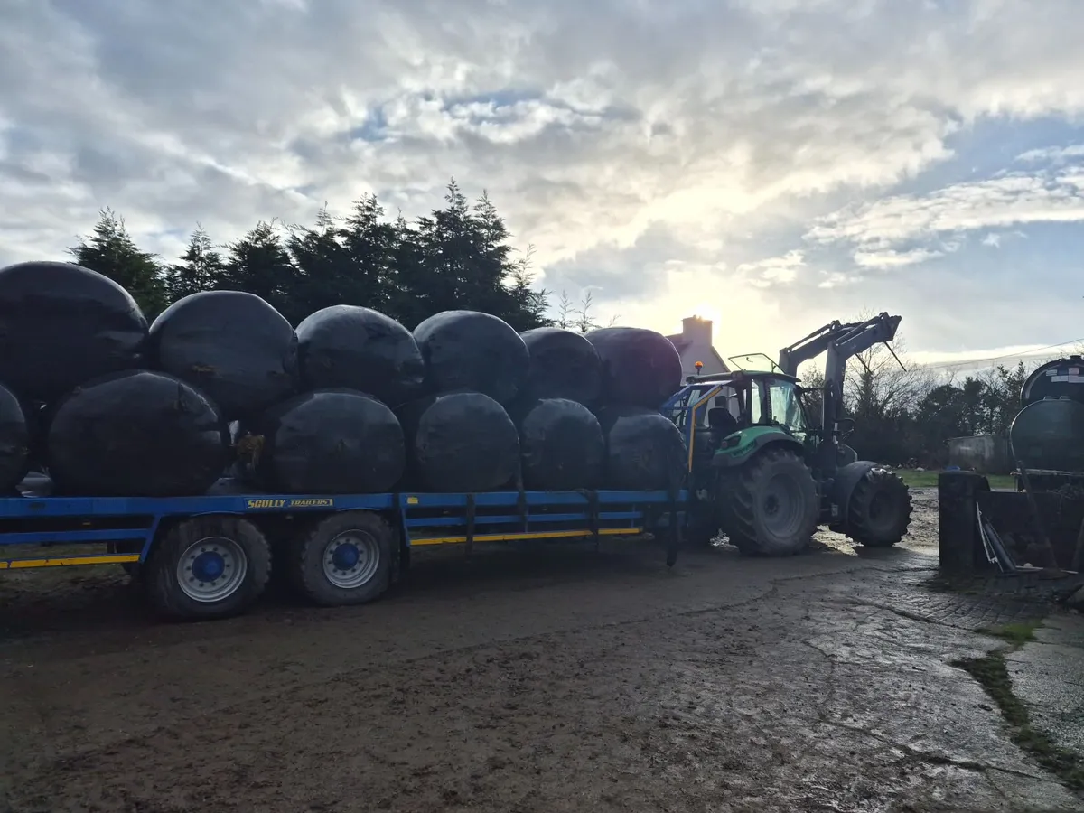 Silage bales for sale - Image 1