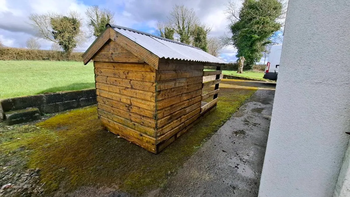 Dog kennel - Image 4