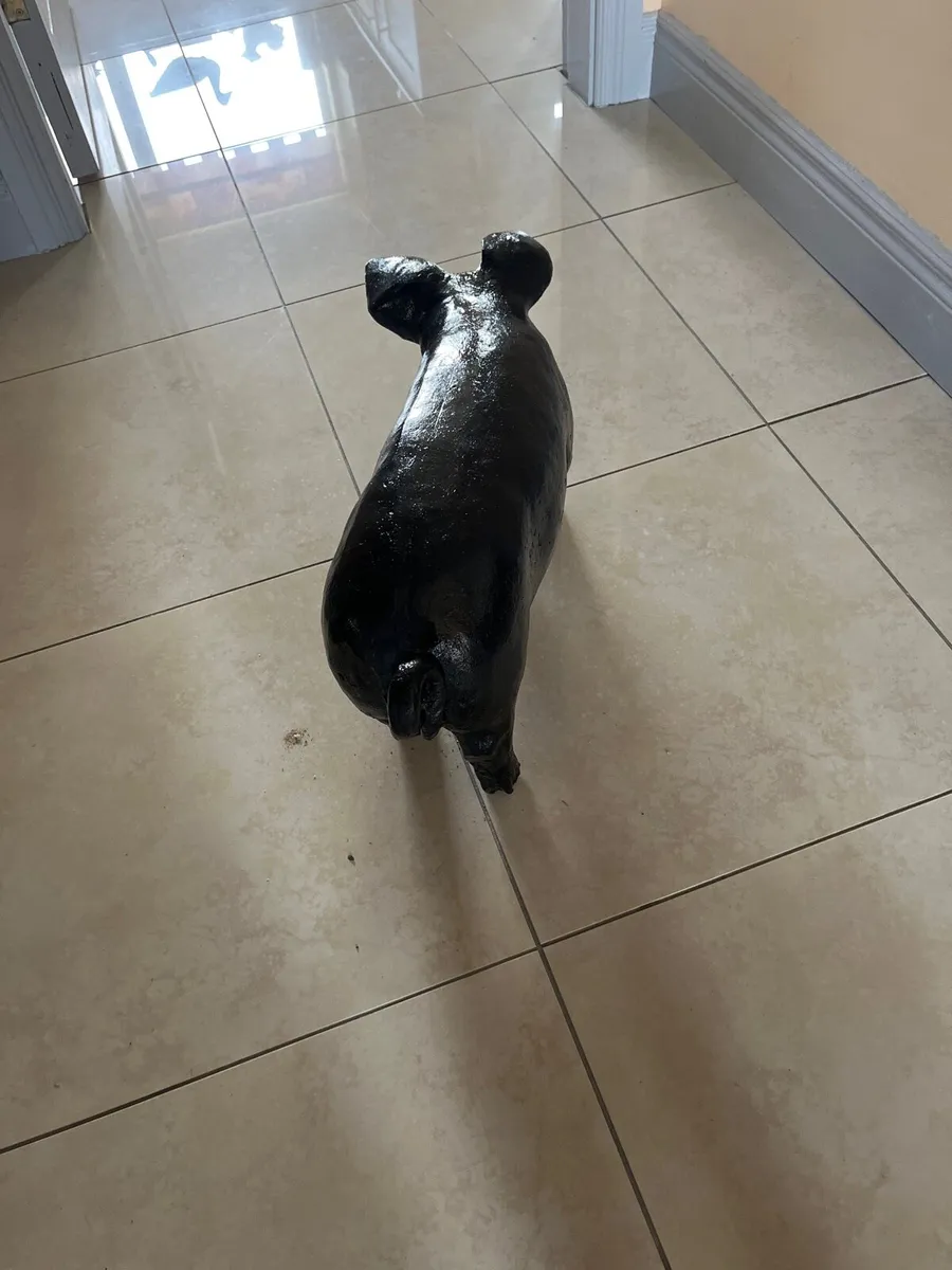 Cast iron pig - Image 3
