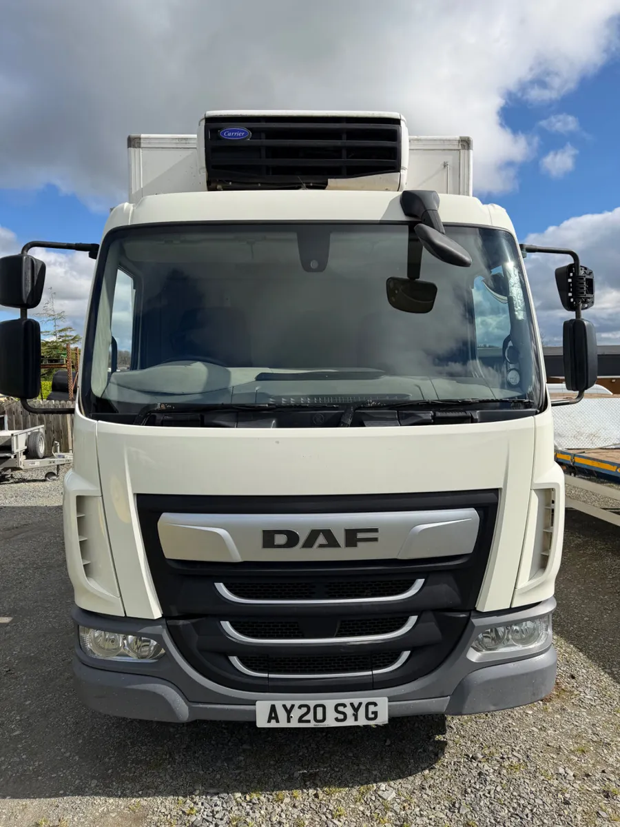 Daf - Image 3