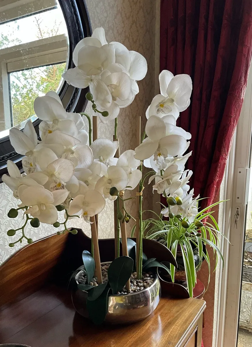 Tall Real Touch Orchid in a Pot  (Artificial )67cm - Image 1