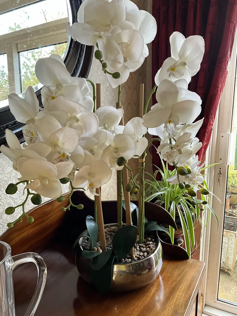 Tall Real Touch Orchid in a Pot  (Artificial )67cm - Image 3