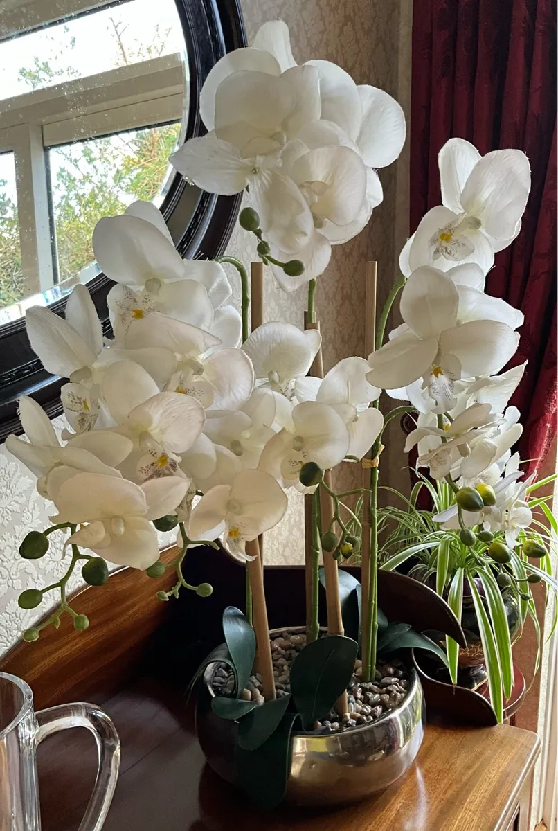 Tall Real Touch Orchid in a Pot  (Artificial )67cm - Image 4