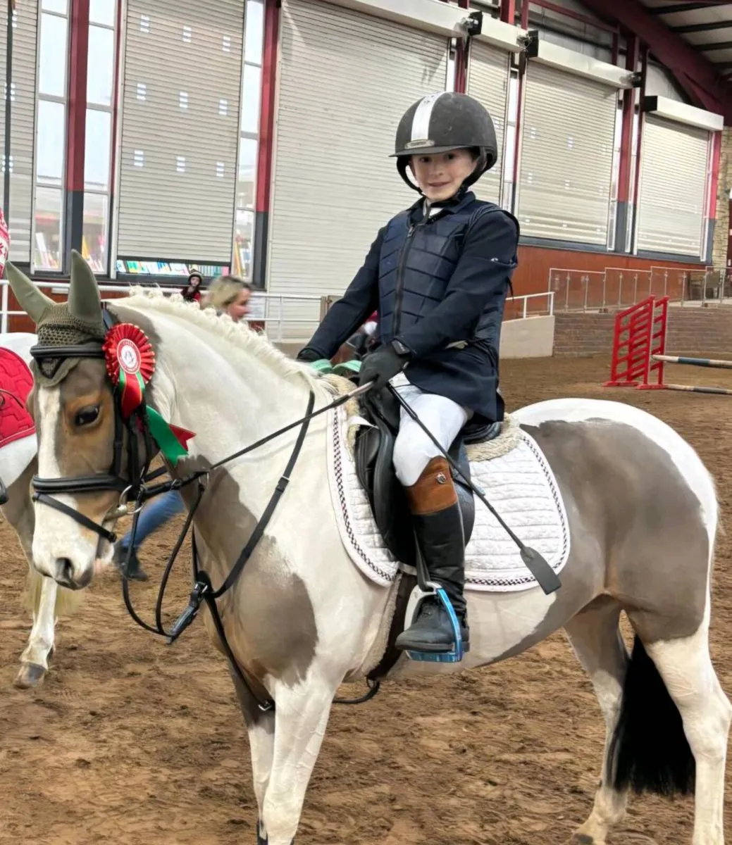 128 cm pony - Image 3