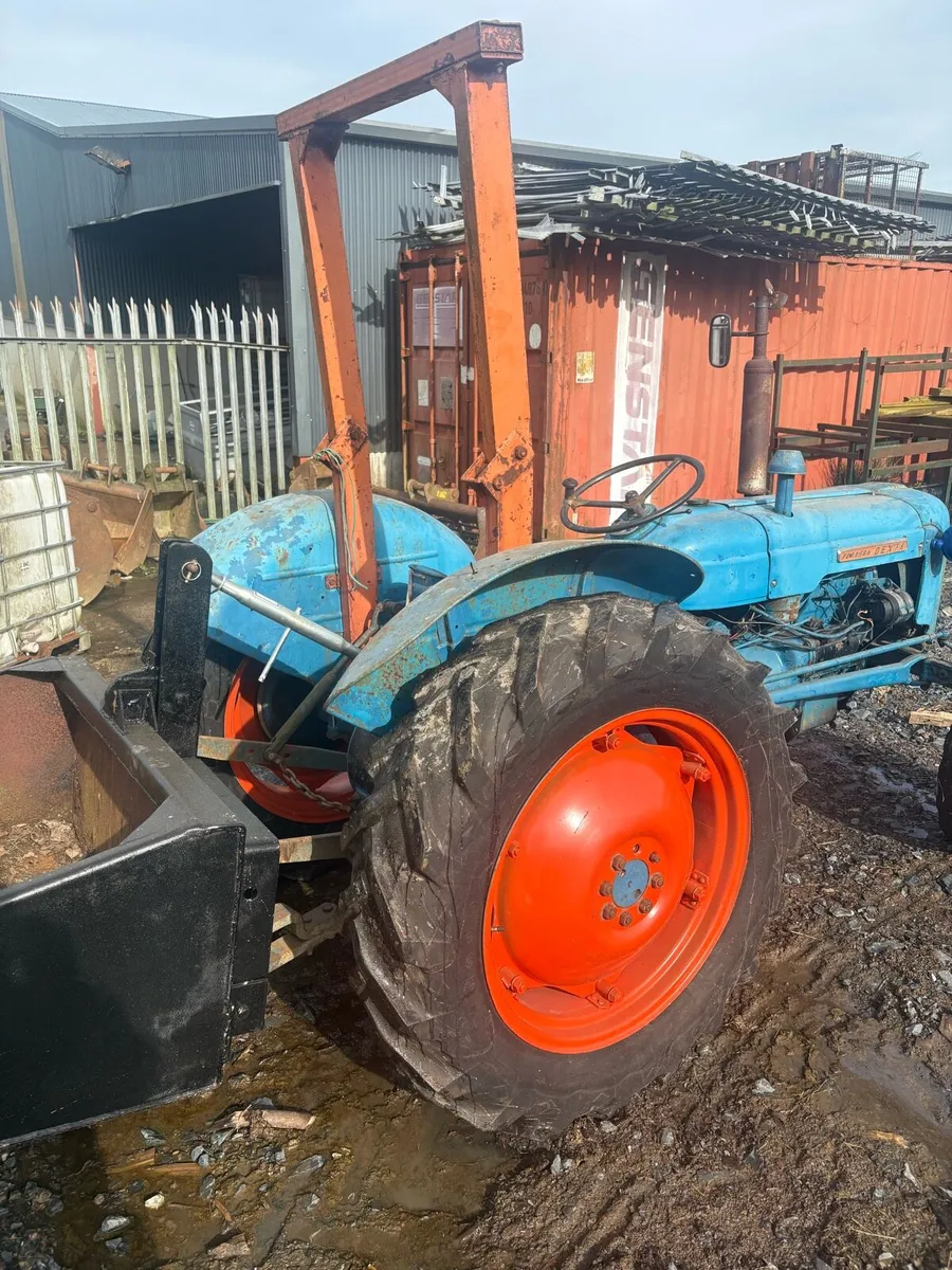 Fordson Dexta livedrive - Image 4