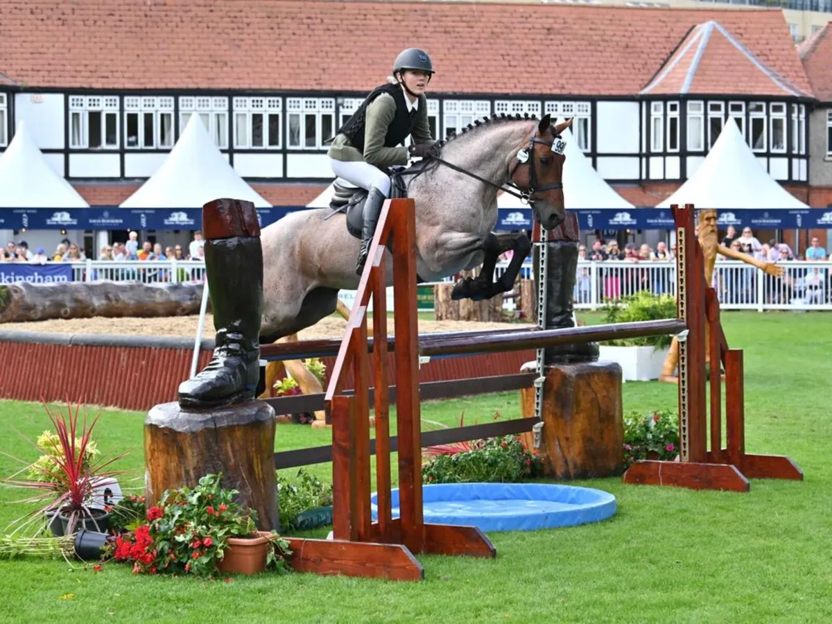 Connemara Stallions - Image 3