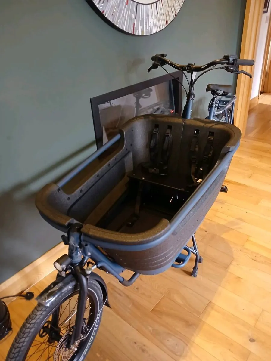 Winora Cargo Bike - Image 4