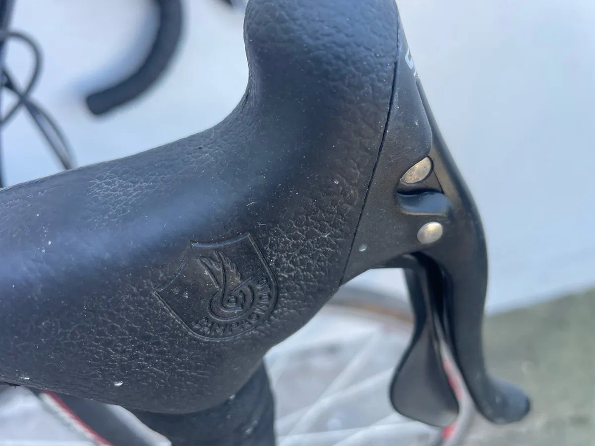 Wilier Triestina Escape XL - Image 2