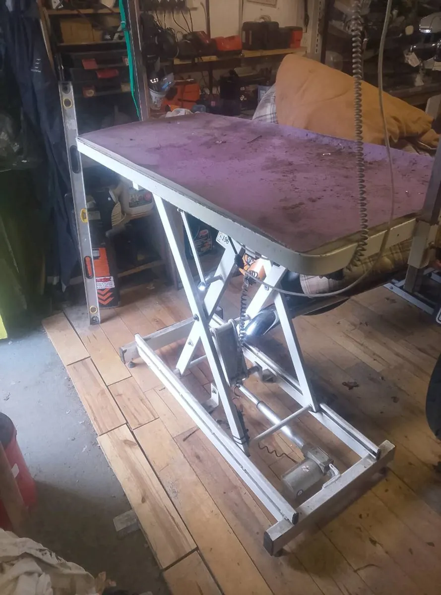 Grooming electric table - Image 1