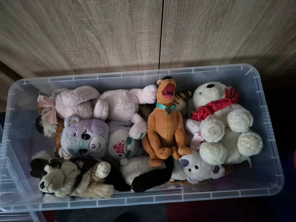 CONTAINER OF TOYS - Image 2