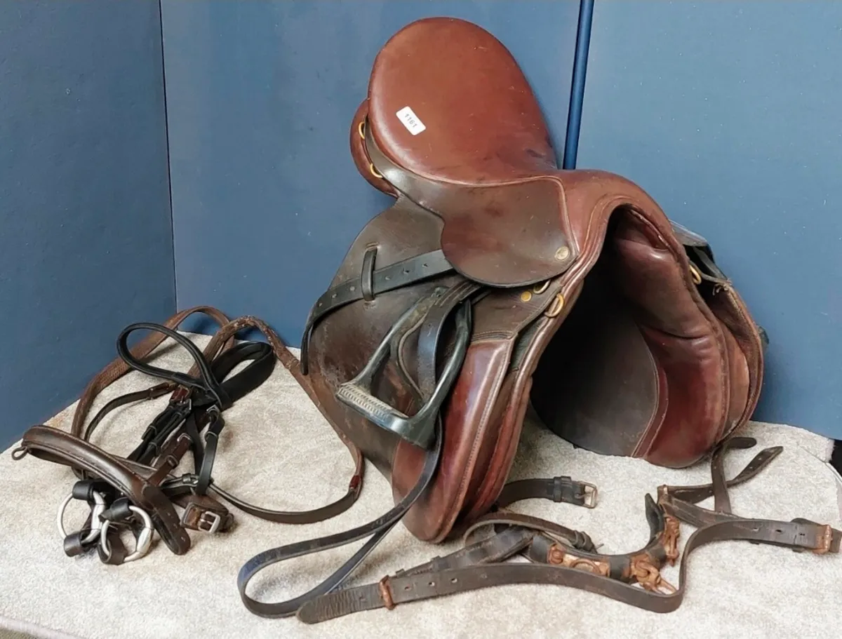 Saddle complete with bridle, lunging Cavison etc