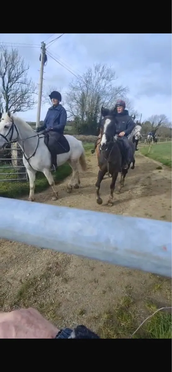 Hunting Horse - Image 2