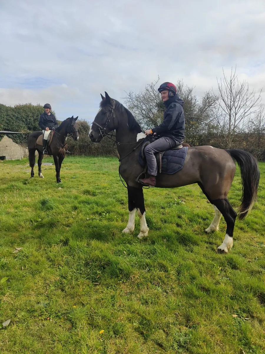 Hunting Horse - Image 1