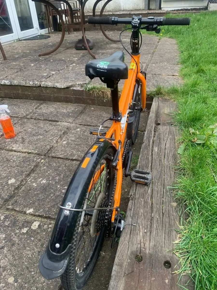 Frog Bike 52 - Image 2