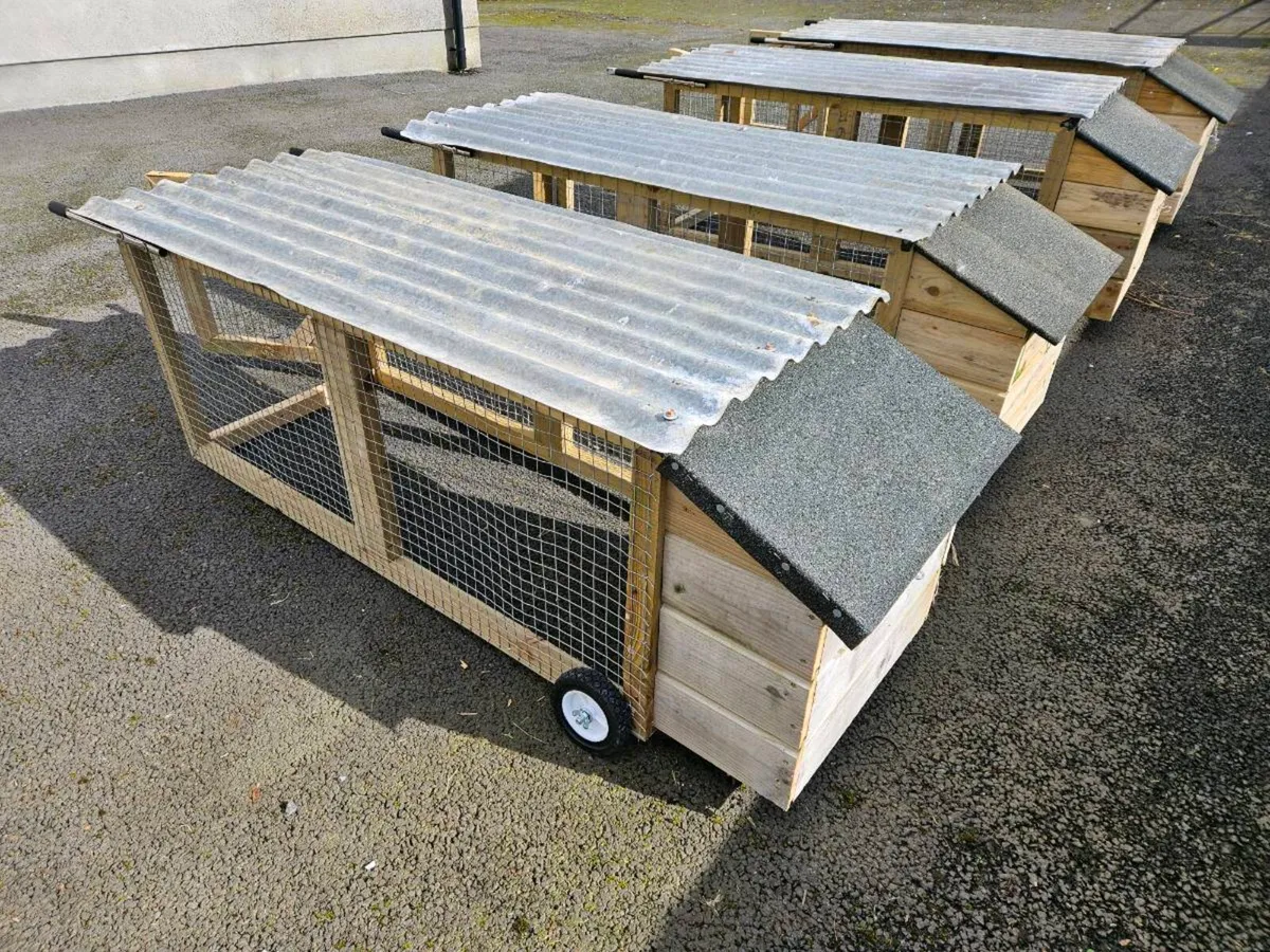 Coop, hutch - Image 3