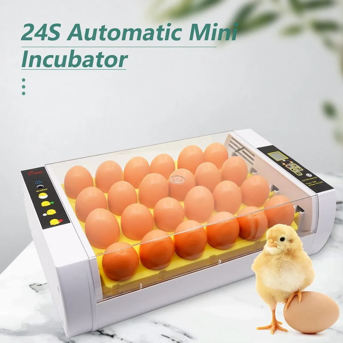 24 Egg Incubator Automatic Temperature Control - Image 2
