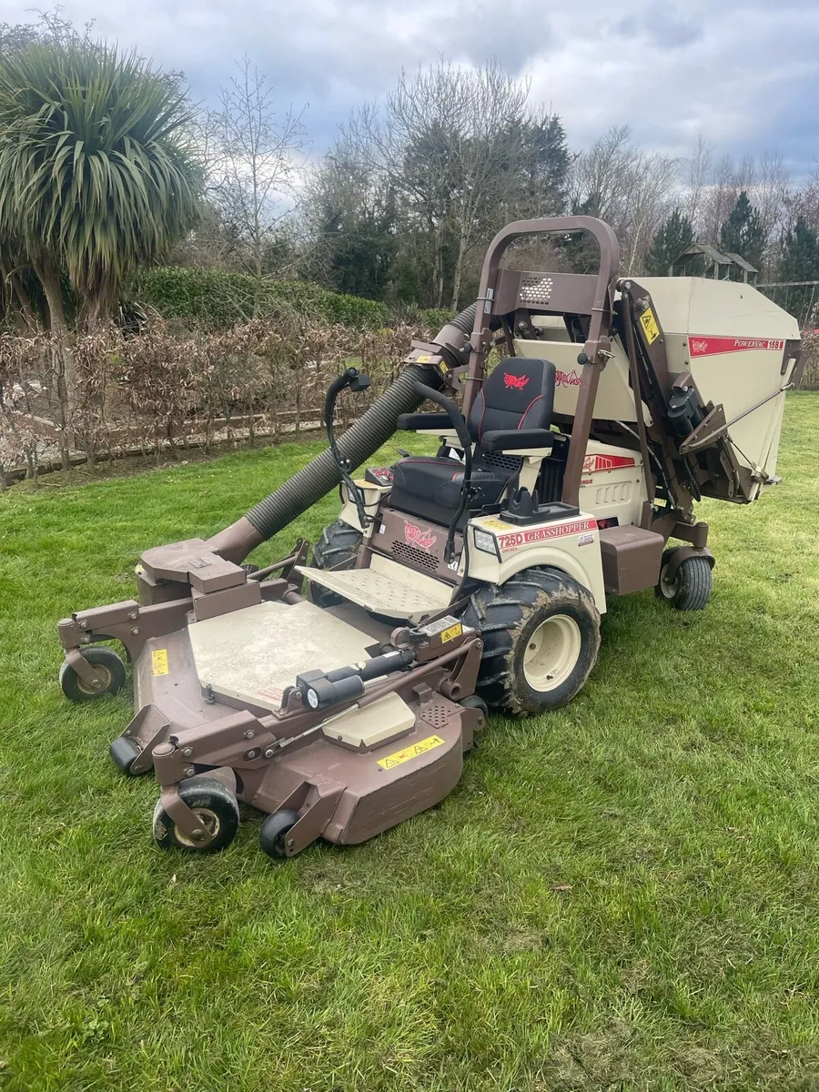 Ride on mower - Image 1