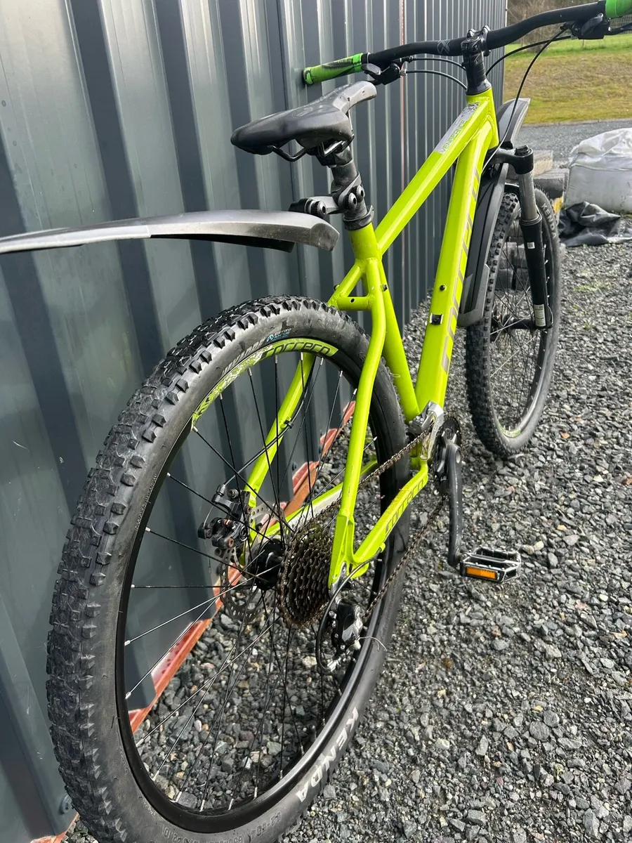 Carrera Vengeance Medium - Image 2