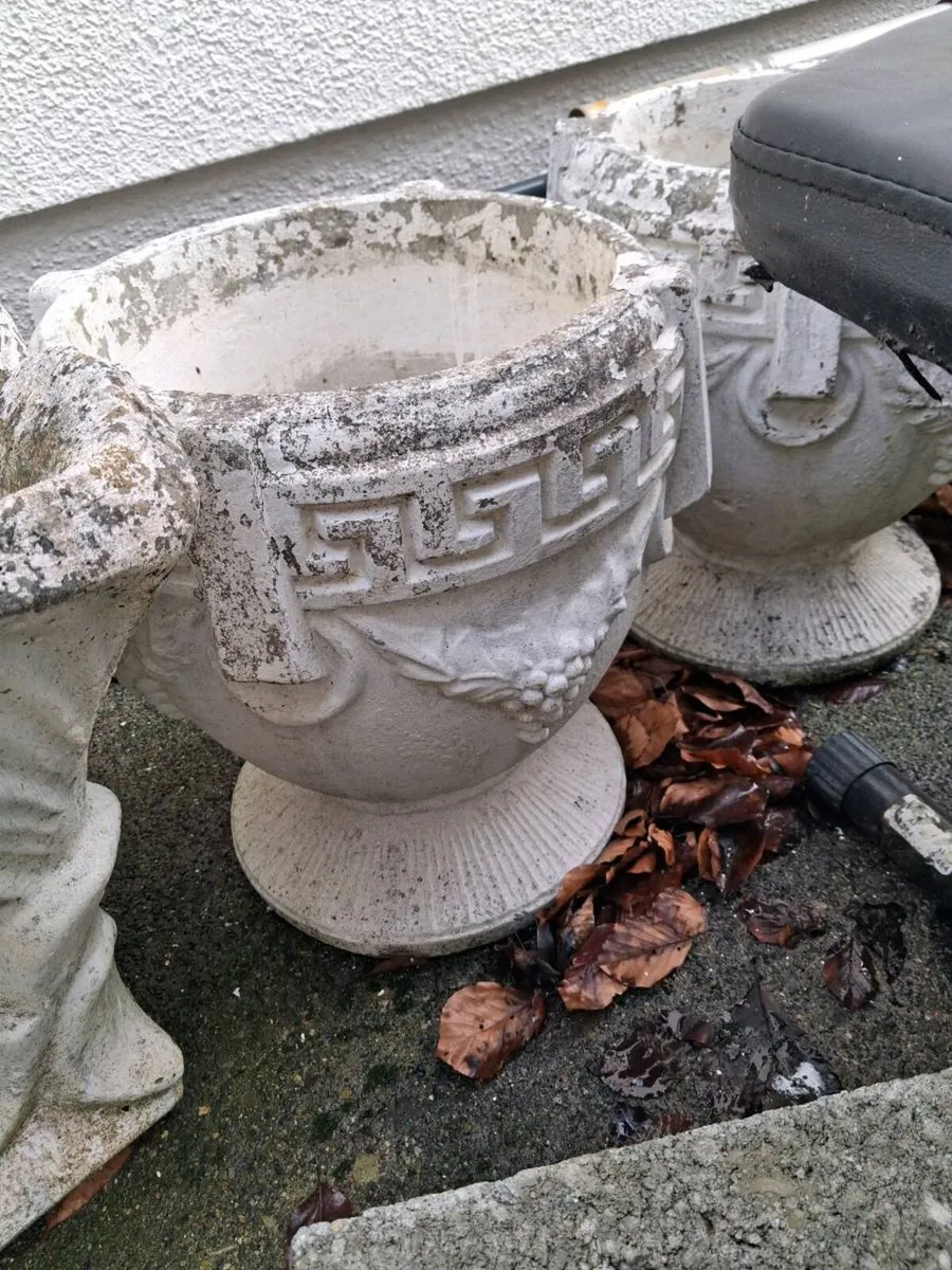 Cement Planter Pots - Image 4