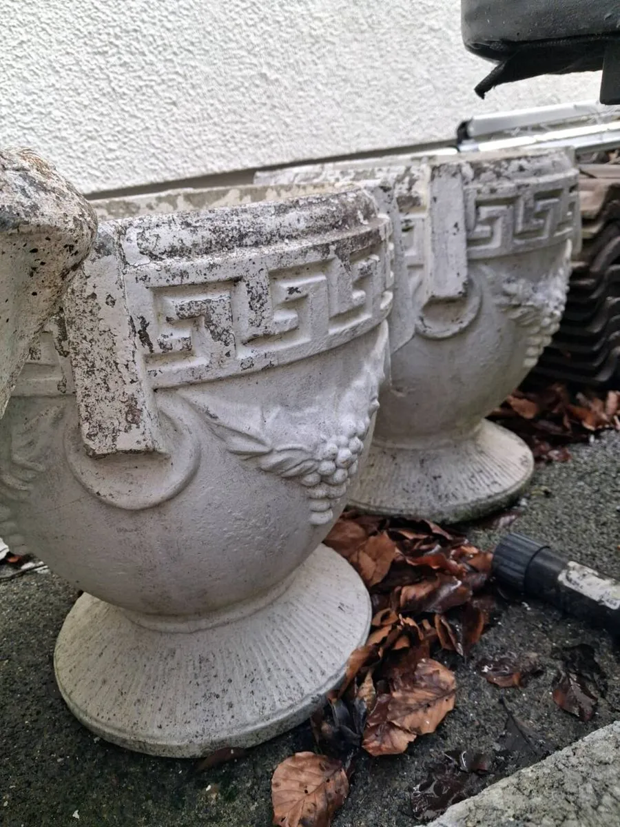 Cement Planter Pots - Image 3